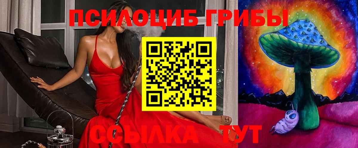 Дзержинск  Галлюциногенные грибы Psilocybe  Вход с VPN 